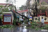 Hải Phòng tan hoang sau bão Yagi