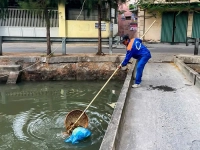 Những 'chiến binh' thầm lặng trên đường phố Hải Phòng