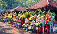 Chỉnh trang quán hoa 80 năm tuổi - biểu tượng TP Hải Phòng