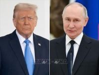 Trump Putin