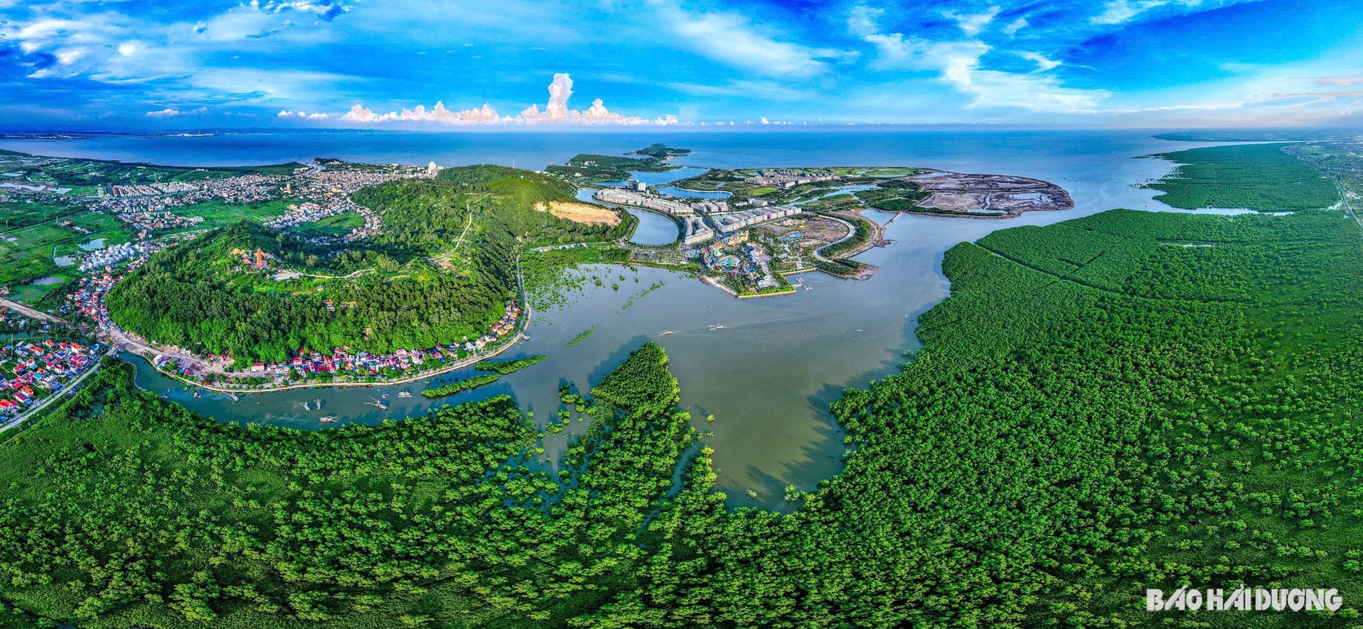 Nằm trong khu du lịch quốc tế Đồi Rồng, rừng ngập mặn Dragon Mangrove Forest mang đến trải nghiệm độc đáo cho du khách yêu thích khám phá điều mới lạ