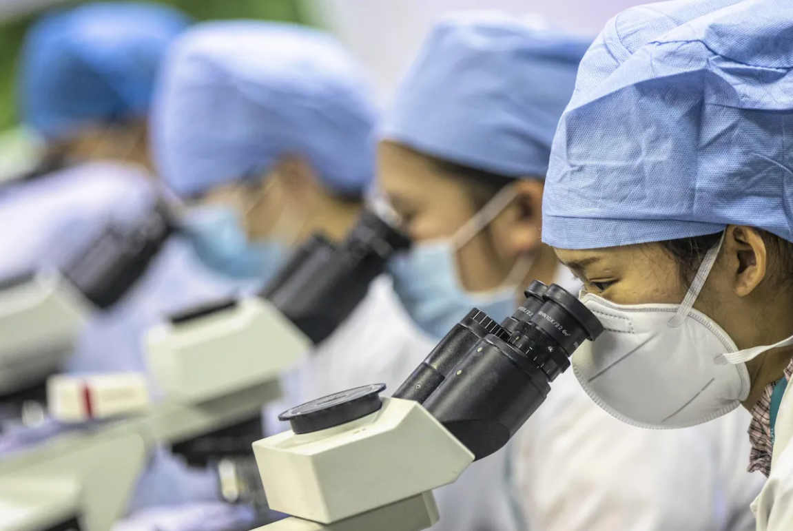 Các nhà khoa học gốc Trung Quốc đang rời khỏi Mỹ hàng loạt.