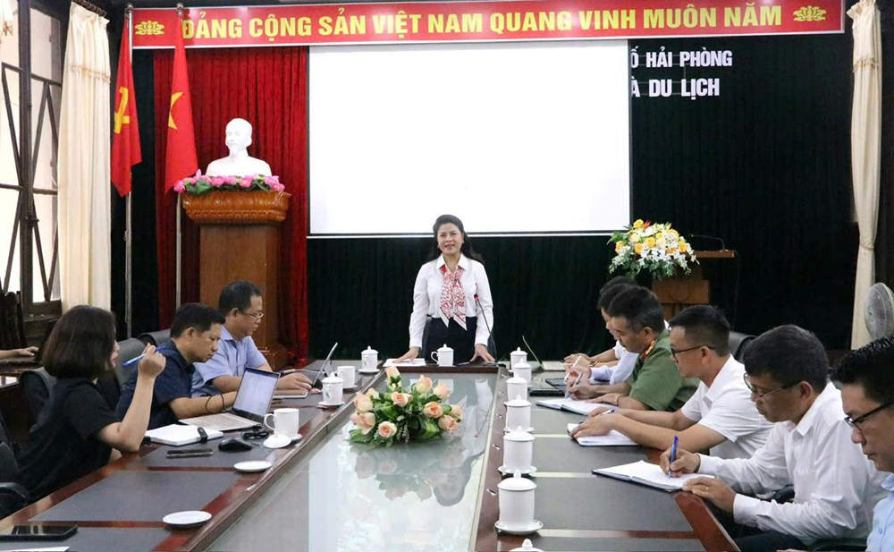  Bà Trần Thị Hoàng Mai, Giám đốc Sở VH-TT-DL Hải Phòng phát biểu tại hội nghị