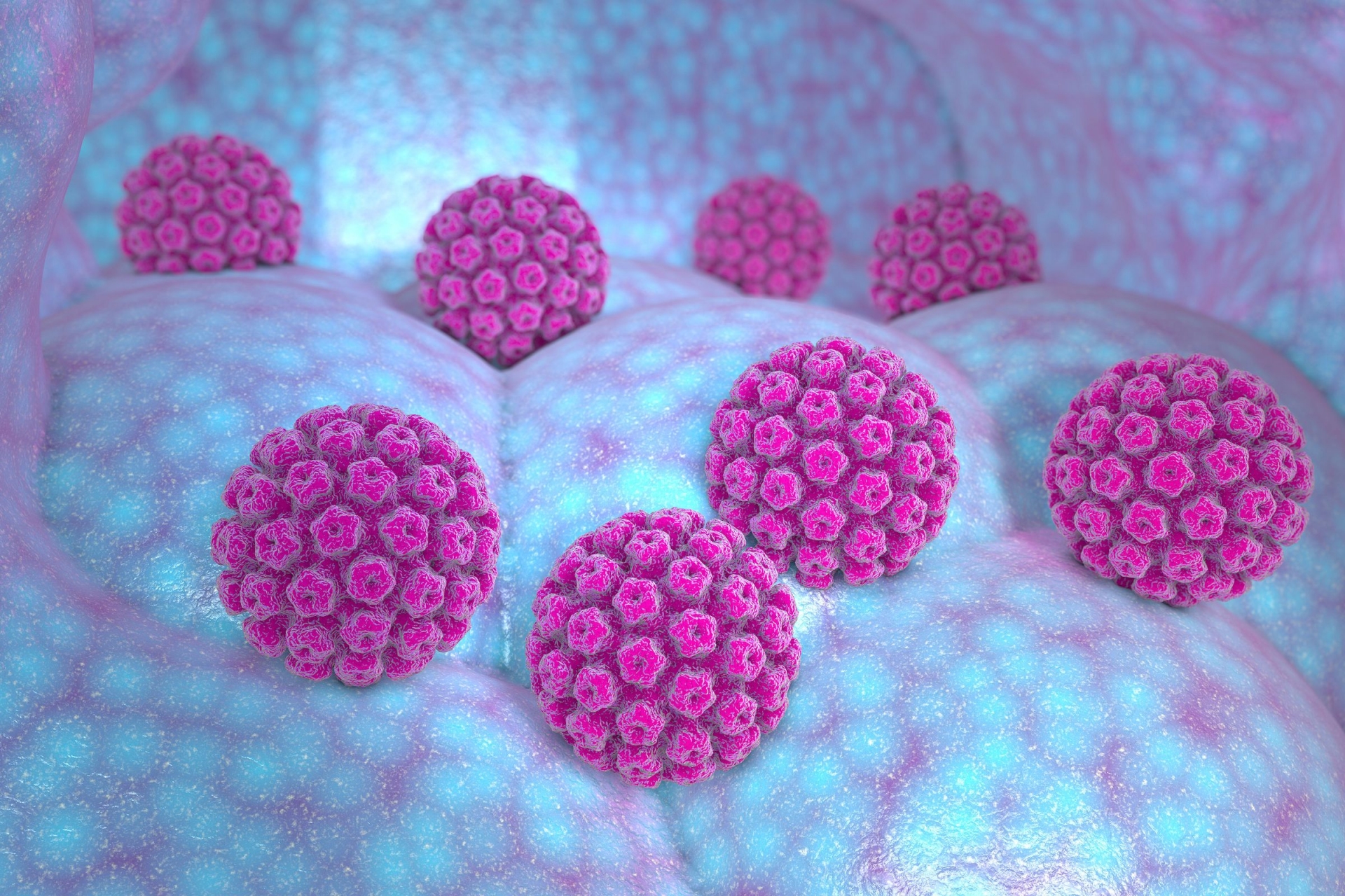hpv1